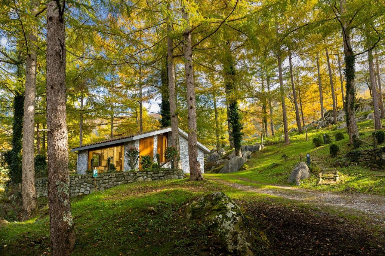 Cabanas Deluxe Basajaun Basoa By Irrisarri Land Igantzi Kültér fotó